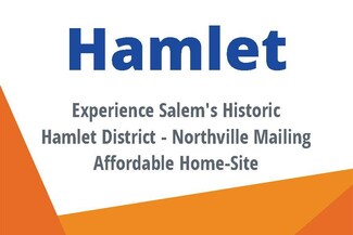 7795 Salem Rd, Northville, MI 48168
