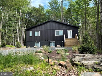 290 Wyomissing Dr, Pocono Lake, PA 18347