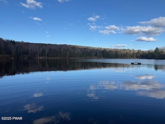 0 Star Pond Rd, Scott Township, PA 18847