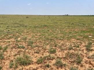 9619 County Road 7500, Ropesville, TX 79358
