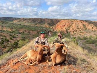 0 County Road 328, Rotan, TX 79546