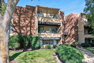7001 N Terra Vista Dr Unit 201, Peoria, IL 61614