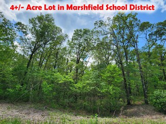 000 Thousand Oaks, Niangua, MO 65713