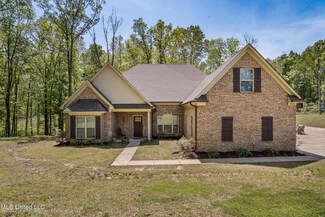 5725 Countyline Tate Rd, Coldwater, MS 38618