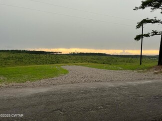 0 Otis Paine Rd, Bethel Springs, TN 38315
