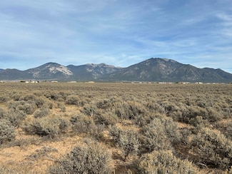 36 Quino Rd, Taos, NM 87529