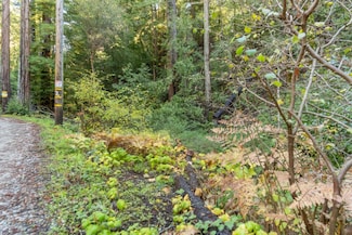 4 Old Mill Ave, Lompico, CA 95018