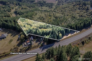 851 Lot 1 Spirit Lake Parcel Wk3516002 Hwy, Castle Rock, WA 98611