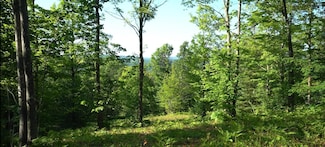 83xxx - Lot 13 Ashwabay Heights Rd, Bayfield, WI 54814