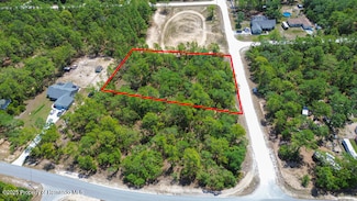 0 Stilt Ave, Brooksville, FL 34614