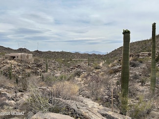 3517 Old Saguaro Ranch Rd Unit 38, Marana, AZ 85658