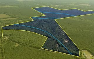 0 County Road 89, Midway, AL 36053