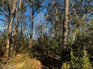 0 Piute Dr, Kiln, MS 39556