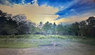 0 Post Rd, Waynesville, GA 31566