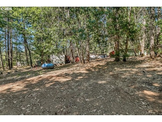 289 Elder Mill Rd, Trail, OR 97541