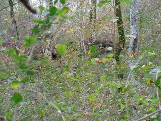 0 Appleton Rd, Five Points, TN 38457