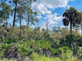 00 SW 52nd Place, Cedar Key, FL 32625