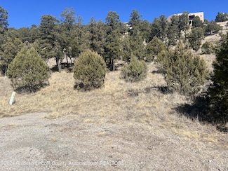 Lot T24D Chickadee Ct Unit 4, Alto, NM 88312