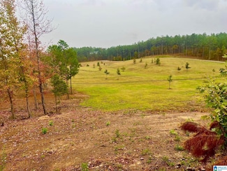 0 Highway 47, Columbiana, AL 35051