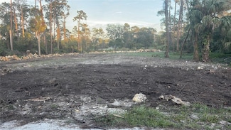 2004 Canton Ave, Alva, FL 33920