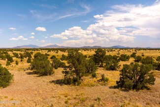 360 S Wedgewood Dr, Williams, AZ 86046