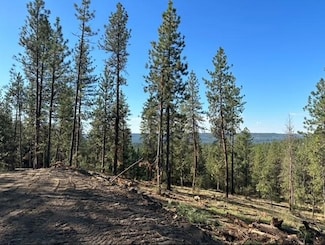 NKA Weaver Way Unit Lot D, Deer Park, WA 99006