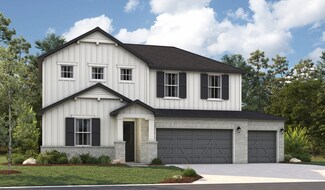 Elderberry, Marble Falls, TX 78654