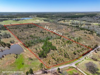 0000 Vz County Road 4702, Ben Wheeler, TX 75754