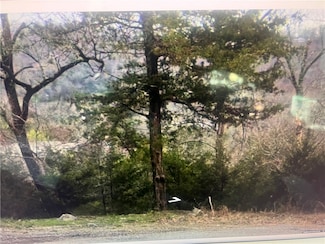 Lot 25 of Block 2 Deer Run Ln, Holiday Island, AR 72631