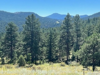 0 Tbd Barney Gulch Rd, Conifer, CO 80433