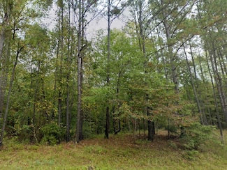 County Road 61, Clanton, AL 35046