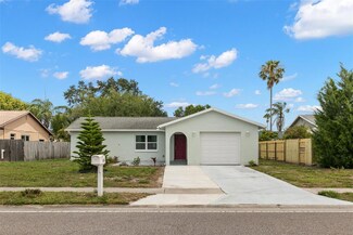 3113 Darlington Rd, Holiday, FL 34691