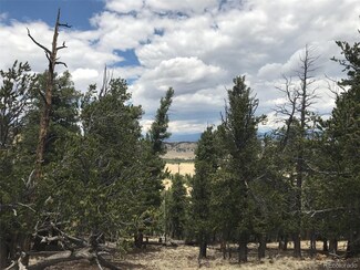 1353 Summit Rd, Hartsel, CO 80449