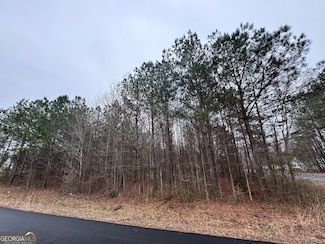 153 Buckeye Trails Dr, Commerce, GA 30530