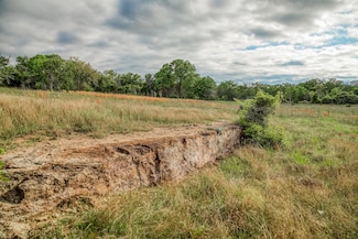 TBD (56.135 Acres) County Road 125, Ledbetter, TX 78946