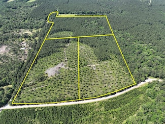 Groveton Flat Prairie Rd, Groveton, TX 75845