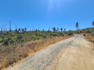 0 Hog Ranch Rd Unit 224097856, Oroville, CA 95965