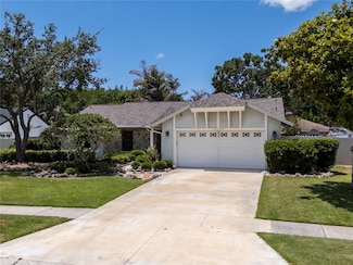 12506 Twisted Oak Dr, Tampa, FL 33624