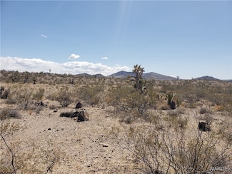 0000 W White Hills Rd Unit 4 LOT 072, White Hills, AZ 86445