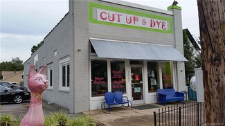 1003 S Fulton St, Salisbury, NC 28144