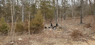 000 Lot 97 Summer Breeze Ln, Kimberling City, MO 65686