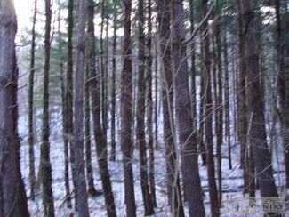 Tbd Johnson Hollow Rd, Jefferson, NC 28640