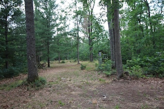 281 W Lexington, Baldwin, MI 49304