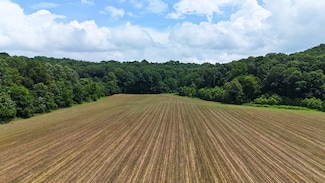 0 High Gap Rd, Mitcheltree Township, IN 47581