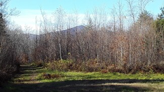 239 Fish St, Fryeburg, ME 04037
