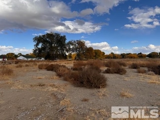 785 Wetland View, Fallon, NV 89406
