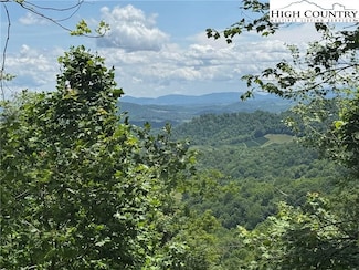 2 Mayito Ln, Mouth of Wilson, VA 24363