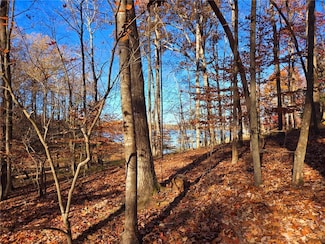 Lot 1&2 Bertha Allen Rd, Westminster, SC 29693