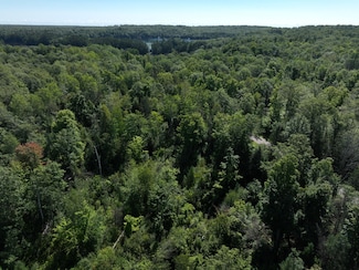 E E Hollister Rd, Wolf River, WI 54491