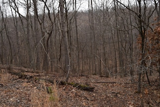 0 Hickory Falls Rd Unit 920645, Blue Ridge, VA 24064